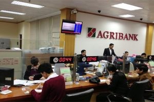 Chứng khoán Agribank (AGR): Lợi nhuận 6 tháng ước đạt 160 tỷ đồng, cổ phiếu tăng trần