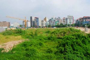 Hà Nội thu hồi đất 1.690 dự án và chuyển đổi 507ha đất lúa, đất rừng