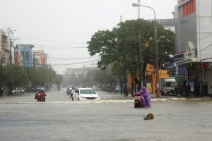 Quảng Nam thiệt hại 126 tỷ đồng do mưa lũ