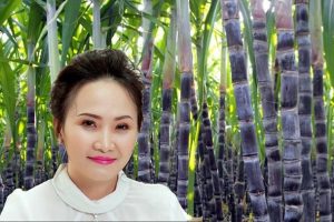 Bà Đặng Huỳnh Ức My mua xong 12 triệu cổ phiếu SBT