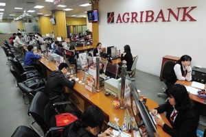 Phó Thủ tướng ‘lệnh’ đẩy nhanh cổ phần hóa Agribank, Vicem, HUD