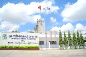 Năm 2018, doanh thu của CP Việt Nam đạt hơn 2,6 tỉ USD