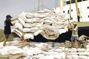 Thị trường xuất khẩu gạo “được mùa” sau thời gian trầm lắng