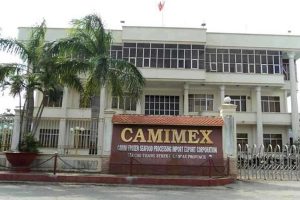 Camimex Group báo lãi 24,3 tỷ đồng quý I, tăng gần 6 lần so với cùng kỳ
