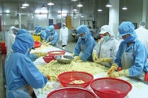 GTNFoods muốn nắm giữ 40% vốn tại CTCP Thực phẩm Lâm Đồng