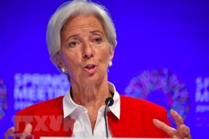 IMF: Kinh tế toàn cầu có thể mất 455 tỉ USD