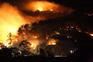 Rừng ở Hà Tĩnh tiếp tục cháy, dân vội vã sơ tán trong đêm