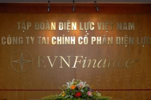 EVN thu 219 tỷ đồng từ thoái vốn tại EVN Finance