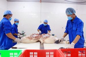 Giá thịt lợn tăng mạnh, sắp chạm mốc 70.000 đồng/kg