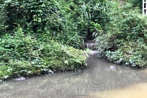 Vụ nước sạch sông Đà bị nhiễm dầu: Điều khó tránh khỏi
