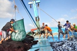 Việt Nam nỗ lực tháo gỡ “thẻ vàng” cho thủy sản