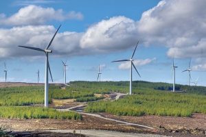 Doanh nghiệp của Ireland muốn sớm triển khai trang trại điện gió 2 tỷ USD ở Sóc Trăng