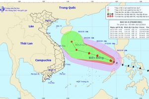 Diễn biến mới nhất của bão số 8 giật cấp 14 trên Biển Đông