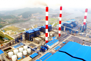 “Ế tuyệt đối”, SCIC huỷ phiên đấu giá cổ phần Nhiệt điện Quảng Ninh