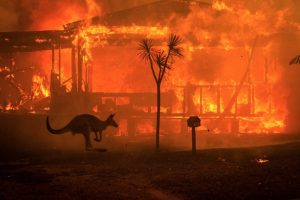 ‘Đại thảm họa’ cháy rừng tại Australia có thể kéo dài trong vài tháng
