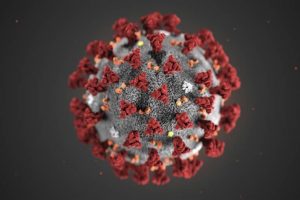Nóng: Nhật Bản cô lập thành công virus corona mới
