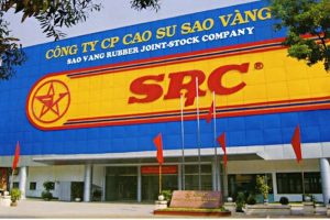 Cao su Sao Vàng bắt tay Tập đoàn Hoành Sơn thành lập công ty vốn điều lệ 500 tỷ đồng