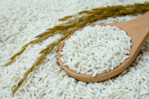 Phó Thống đốc NHNN: Ngân hàng sẽ xem xét cho vay không tài sản bảo đảm với ngành lúa gạo
