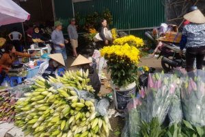 Thông báo khẩn về Covid-19: Người mua bán hoa ở chợ Mê Linh cần liên hệ y tế gấp