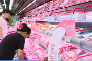 Việt Nam nhập khẩu 50.000 tấn thịt lợn từ đầu năm