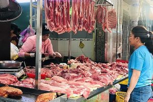 Giá lợn và nguồn cung: Có hay không những “khuất tất”, lợi ích nhóm?