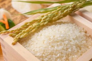 Giá gạo hôm nay 15/5: Giảm từ 100-200 đồng/kg