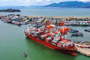 VAFI: ‘Cảng Quy Nhơn ‘thổi phồng’ thành tích kinh doanh 2019′