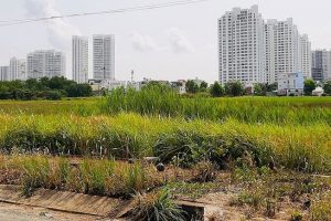 Cục Thuế TP Hà Nội: Yêu cầu truy thu 35 tỷ đồng doanh nghiệp sử dụng đất sai mục đích