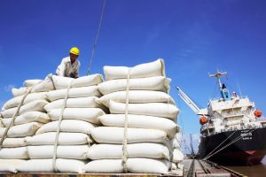 Giá gạo xuất khẩu Việt Nam dẫn đầu nhóm các nước xuất khẩu gạo của thế giới