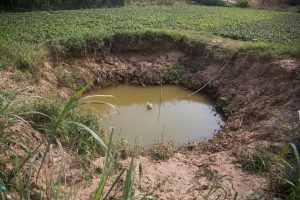 Thêm giếng nước – thêm nguồn nước ngọt cho vùng hạn mặn tại ĐBSCL
