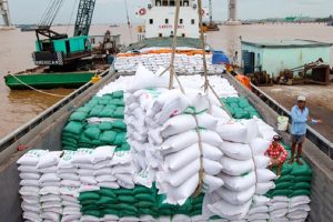 Kim ngạch xuất khẩu gạo tăng 10,4% về giá trị so với cùng kỳ