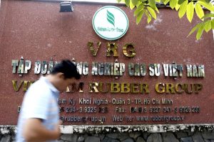 Tập đoàn Cao su Việt Nam (GVR) hoàn thành kế hoạch lợi nhuận năm 2020