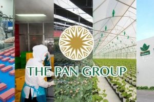 PAN chuyển toàn bộ 47,97% vốn tại Khử trùng Việt Nam (VFG) cho công ty con