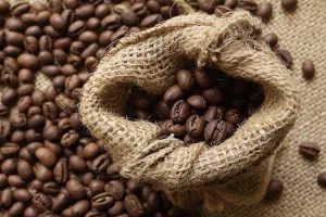Giá cà phê hôm nay 27/1/2021: Tăng theo giá thế giới
