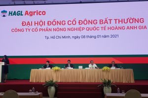 Ông Trần Bá Dương trở thành Chủ tịch HAGL Agrico