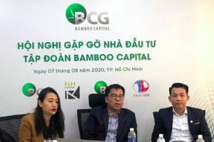 Thành viên HĐQT Bamboo Capital từ nhiệm