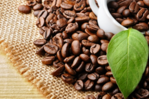 Giá cà phê hôm nay 17/2/2021: Cà phê Robusta hồi phục