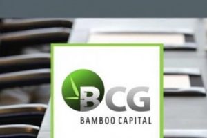 Bamboo Capital xin gia hạn họp đại hội cổ đông 2021