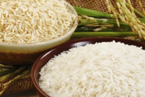 Giá gạo hôm nay 4/2/2021: Gạo xuất khẩu Thái Lan ở mức cao kỷ lục 520 – 530 USD/tấn