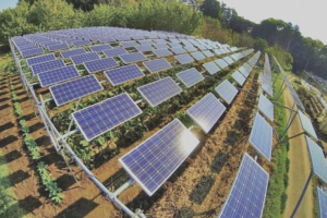 Nhóm Trungnam Group tiếp tục huy động 1.000 tỷ đồng để thực hiện các dự án năng lượng tái tạo
