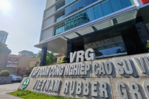 Tập đoàn Cao su Việt Nam (GVR) giảm hơn 500 tỷ đồng lãi ròng hậu kiểm toán