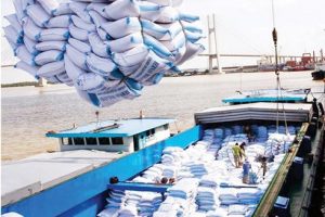 Gạo Việt xuất khẩu giảm nhẹ trong hai tháng đầu năm 2021