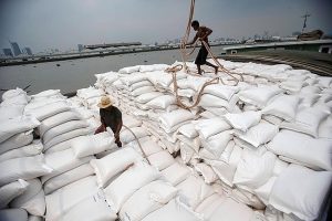 Giá gạo xuất khẩu Việt Nam vượt xa Thái Lan