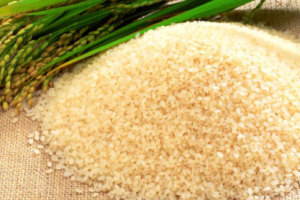 Giá gạo hôm nay 27/3/2021: Gạo châu Á lên cao nhất trong 9 năm qua do nhu cầu tăng cao