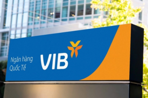 VIB kỳ vọng lợi nhuận năm 2021 tăng 29%, muốn nâng vốn điều lệ lên gần 16.000 tỷ