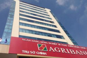 Agribank rao bán khoản nợ gần 350 tỷ đồng của Nông trường Sông Hậu