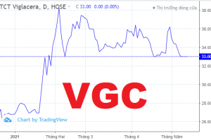 Viglacera chia cổ tức 11%, nhóm Gelex thu về gần 250 tỷ đồng
