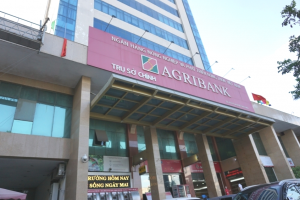 Agribank sẽ phải đi thuê trụ sở sau khi cổ phần hóa?