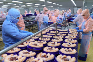 Hà Nội: Kim ngạch xuất khẩu hàng hóa tháng 5 tăng 2,5% so với cùng kỳ