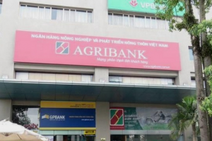 Agribank và câu chuyện 14 năm chưa thể cổ phần hóa